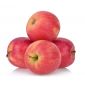 Apple Pink Lady South Africa