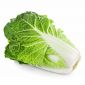 Cabbage Chinese China