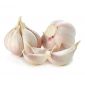 Garlic Loose China
