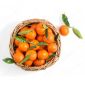 Mandarine Cyprus