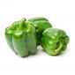 Capsicum Green Iran