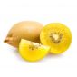 Kiwi Golden Newzealand