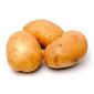 Potato Loose Egypt