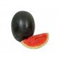 Watermelon India