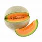 Rock Melon Iran