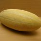Sweetmelon Mashhadi Iran