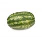Watermelon Long Iran