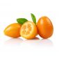 Kumquat Spain