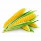 Sweet Corn Uae