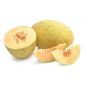 Sweetmelon Uae