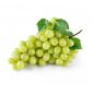 Grape White India