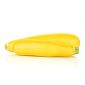 Zucchini Yellow Uae