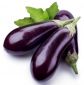 Eggplant Organic Daf Uae