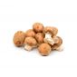 Mushroom Brown 250gm Uae