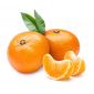 Mandarine Nadorcott Africa
