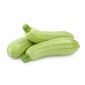Marrow Organic Uae