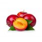 Plums Red (aprox 750gm) Iran