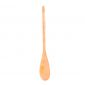 Home Design Bamboo Spoon