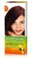 Garnier Color Naturals Burgundy 4.6