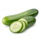 Cucumber Hydroponic Uae
