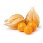Physalis 100gm Thailand