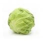Cabbage Green Prime By Air Lebanon