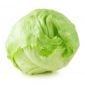 Lettuce Icebrg Prime By Air Lebanon