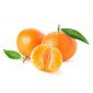 Clementine Prime By Air Lebanon