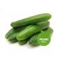 Al Tareeq Organic Cucumber Uae Uae