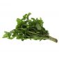 Organic Green Leaves Uae