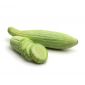 Wild Cucumber By Air Lebanon