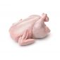 Ajeeb Fresh Chicken