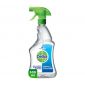 Dettol Anti Bacterial Surface Cleaner