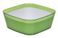 Chamdol Salad Bowl Medium Assrtd