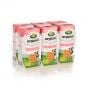 Arla Organic Milk Strawberry