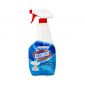 Clorox Bathroom Cleaner