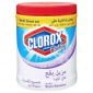 Clorox Powder White