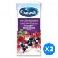 Ocean Spray Cranberry & Black Current Juice