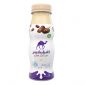 Camelicious Date Flavor Camel Milk