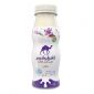 Camelicious Saffron Flavor Milk