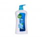 Dettol Shower Gel Cool 700ml