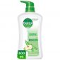 Dettol Soothe Anti Bacterial Aloe Vera & Apple Body Wash