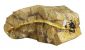 Supreme Brich Firewood Logs