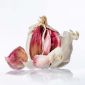 Garlic 3 Heads In Net By Air Spain