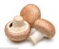 Brown Cut Sliced Mushroom 250gm Spain