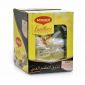 Maggi Excelle Broccoli Soup