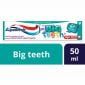 Aquafresh Kids Toothpaste Big Teet