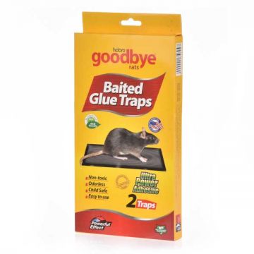 Good Bye Baited Glue Traps