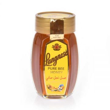 Langnese Bee Honey