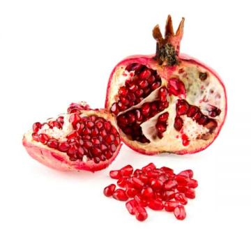 Pomegranate Yeman
